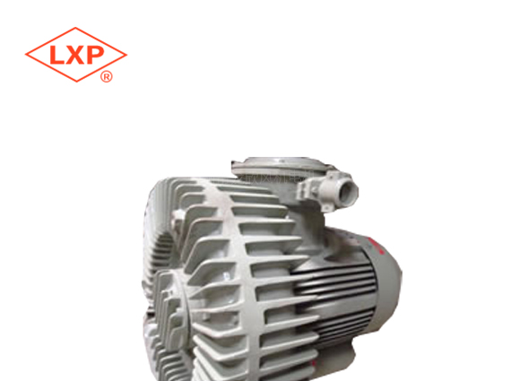 ​XGB-6 